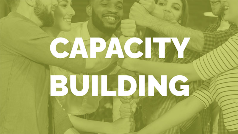 Capacity Building