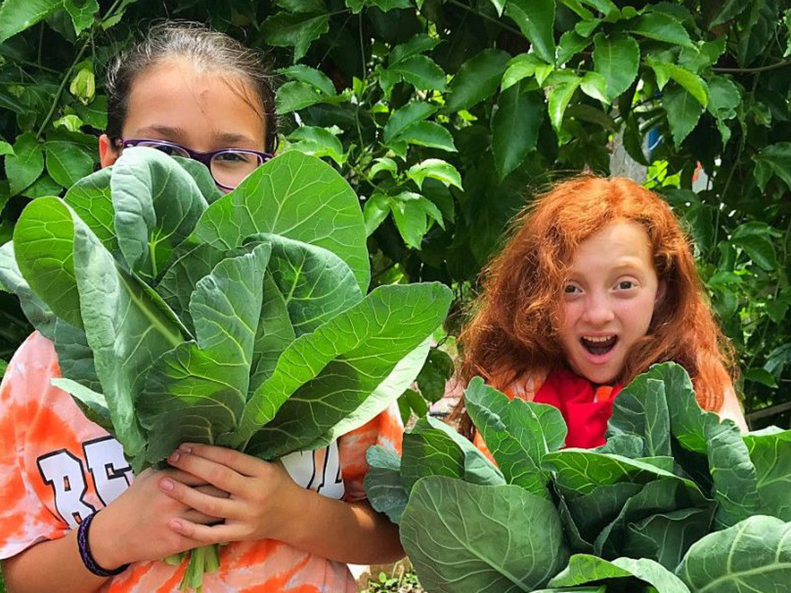 Estudiantes en un jardín | Fondo de Educación