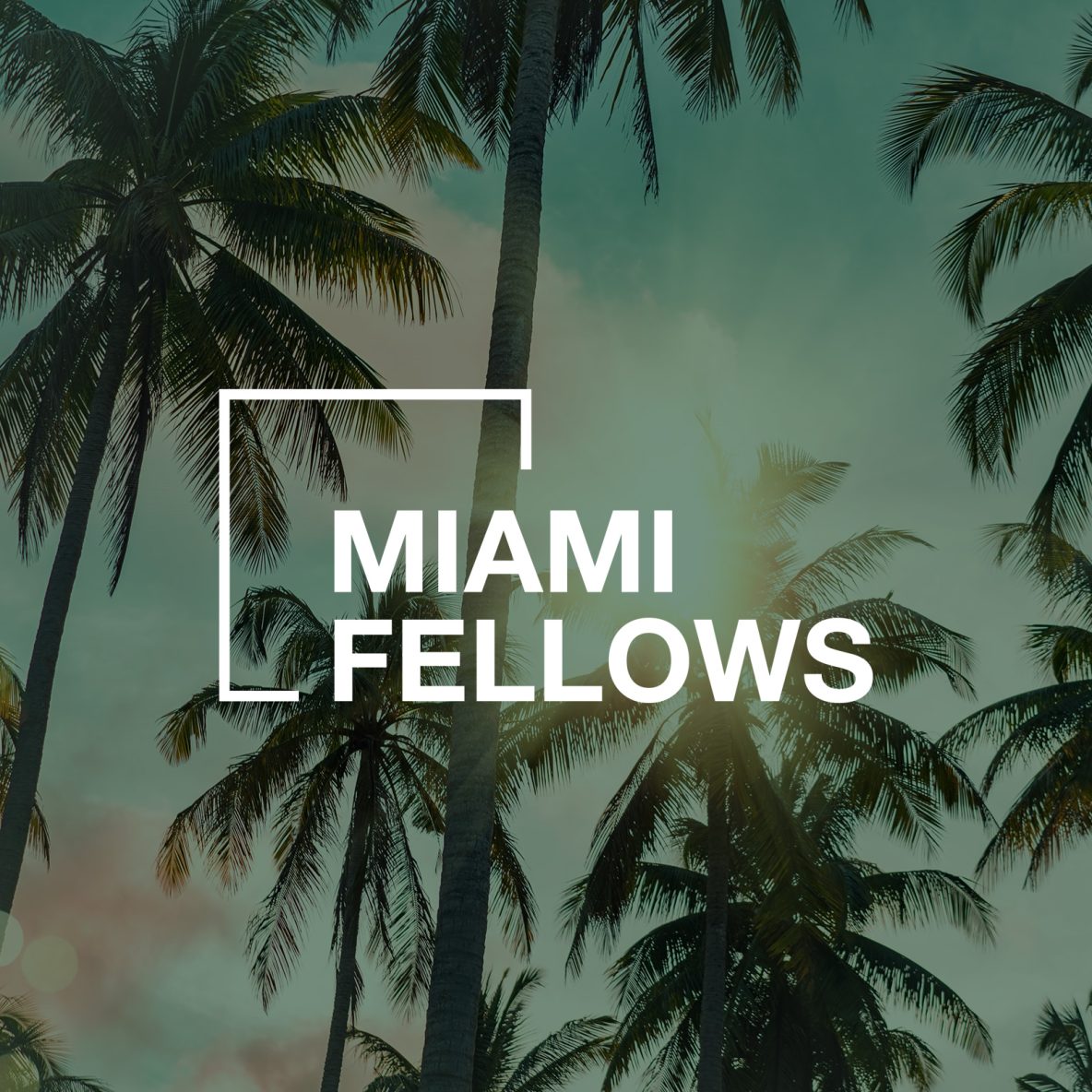 Miami Fellows
