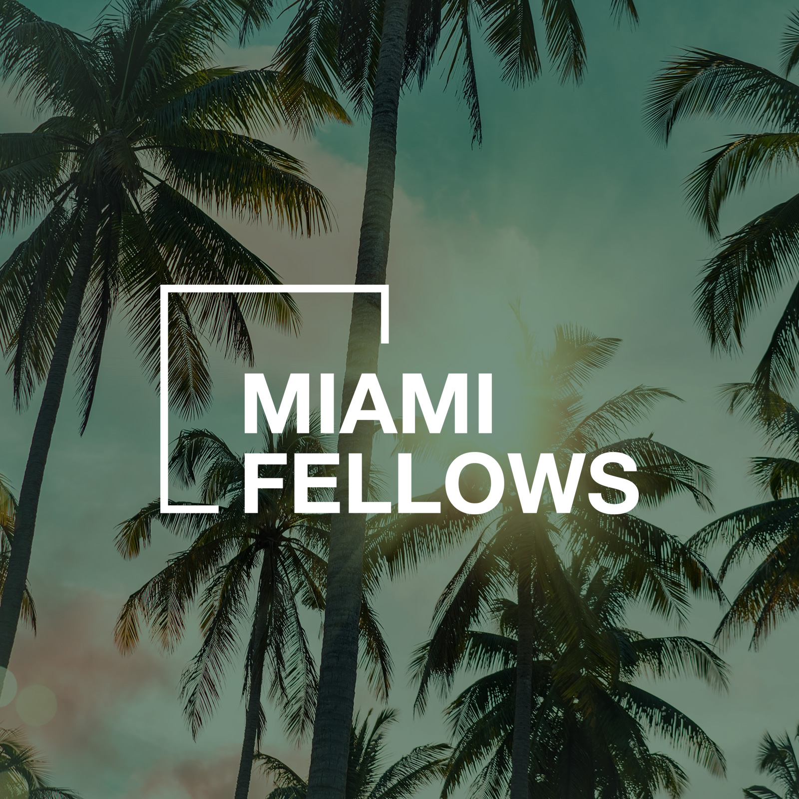 Miami Fellows