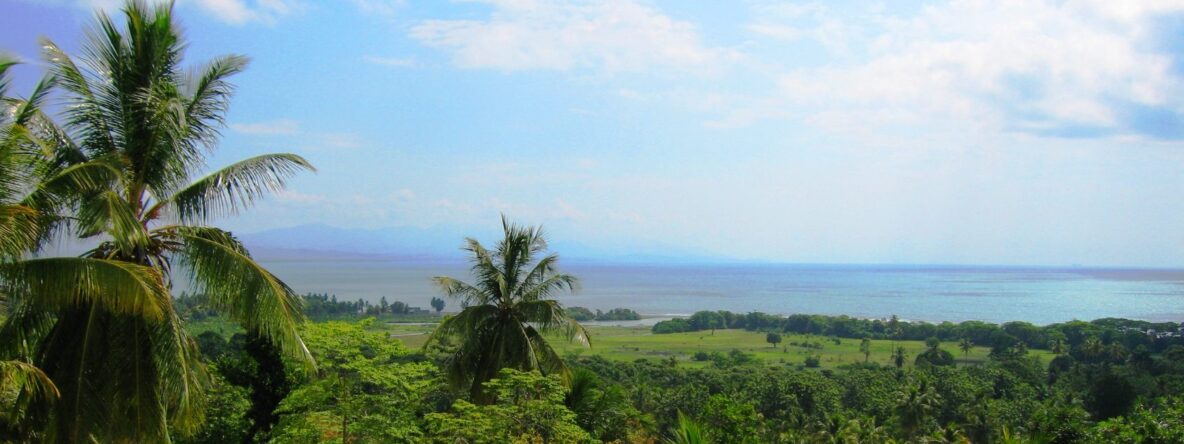 Landscape with palm trees and the ocean.