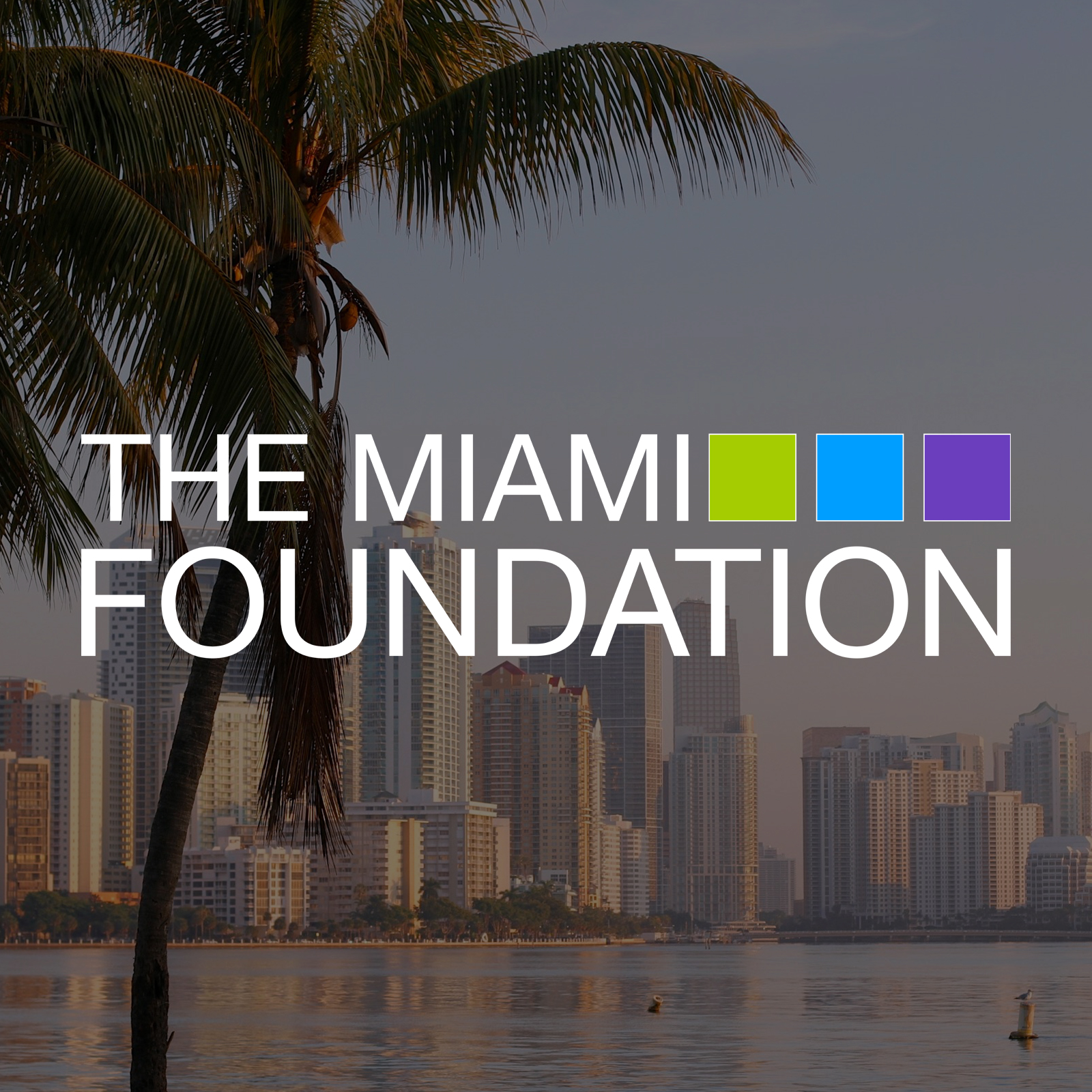 The Miami Foundation The Miami Foundation