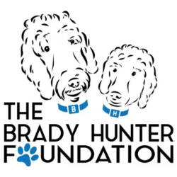 The Brady Hunter Foundation The Brady Hunter Foundation