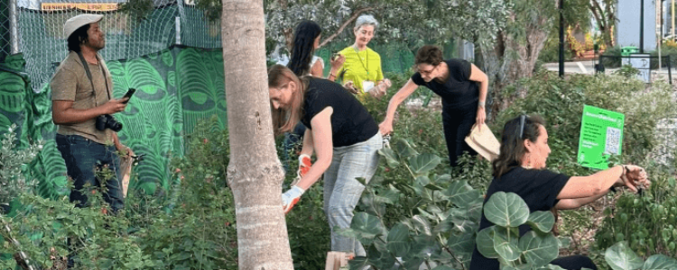 People pruning a garden